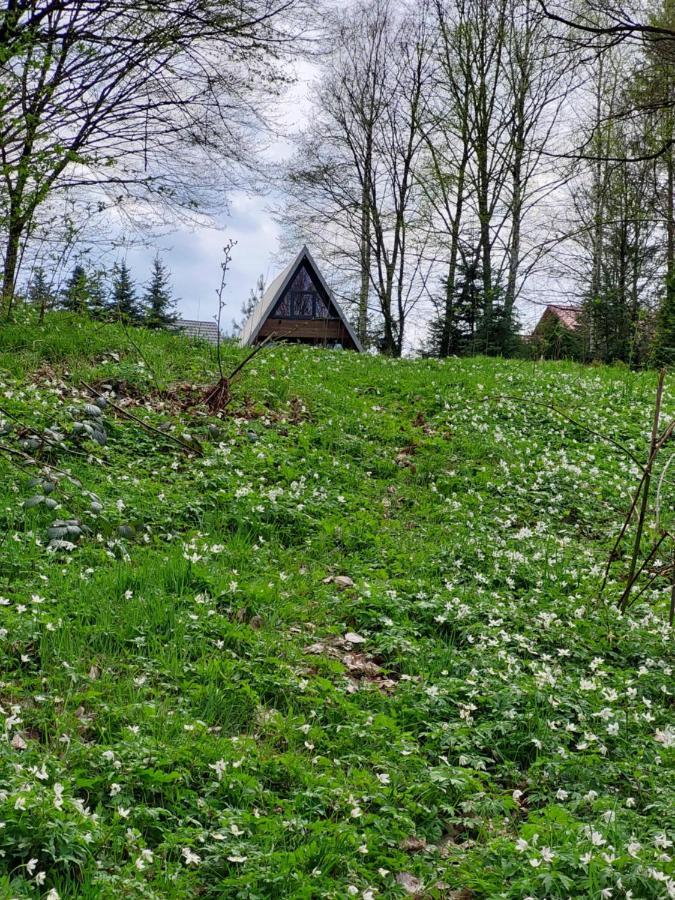 U Hanki Żywiec Exterior foto